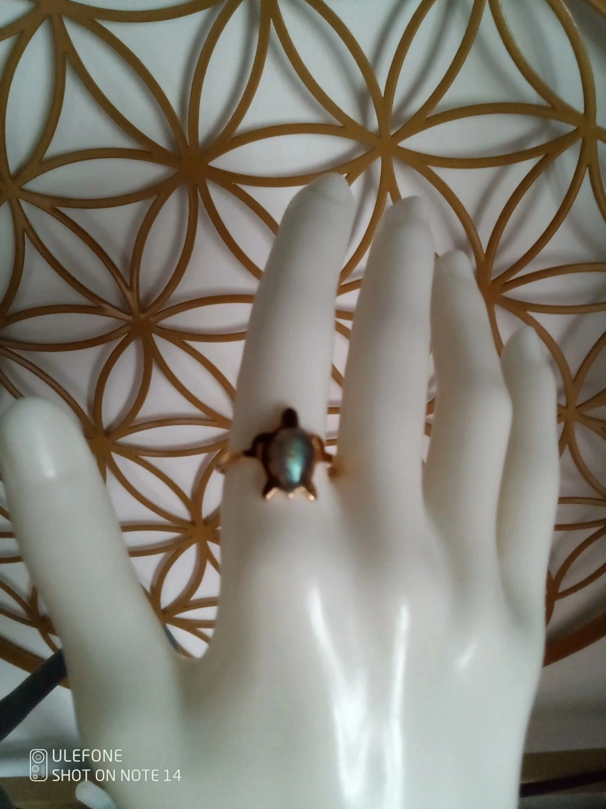 Bague tortue acier et pierre naturelle de labradorite – photo 3